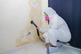 Why You Should Choose Our Mold Remediation Services in Rushville, IL